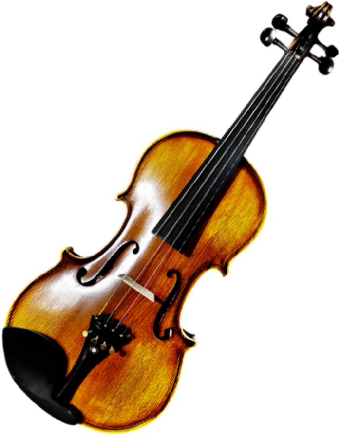 Скрипка O.M.Monnich № 30 4/4
