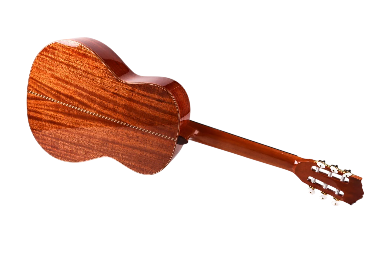 Классическая гитара Luxars APL-860-SS