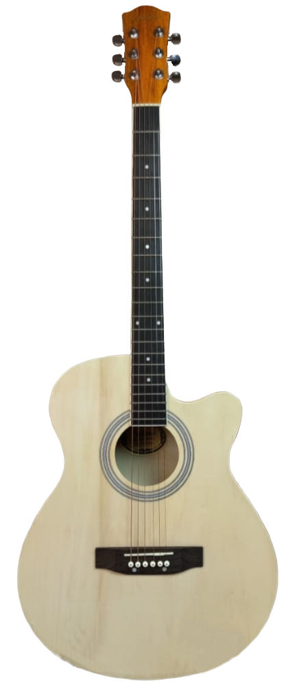Акустическая гитара Elitaro L-4010 N